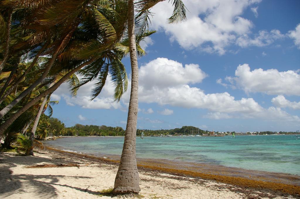 Kaz Creole Aventure Tropicale Insolite, Fibre, Jardin Et Jacuzzi Prives Сен Франсоа Екстериор снимка